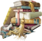 Fayna Book Logo