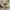 Акрилова прозора ваза Акрилова прозора ваза